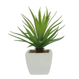 Кактус в керамична бяла саксия - в20см 6/72kib