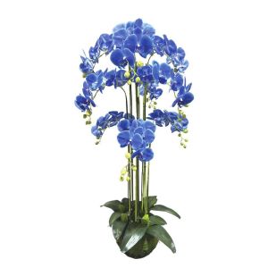Орхидейно растение синьо цветя истинско докосване - в118 см 1/kib