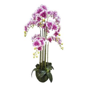 Орхидейно растение, двуцветни лилаво/бели цветя, истинско допълнение - в118 см 1/кутия