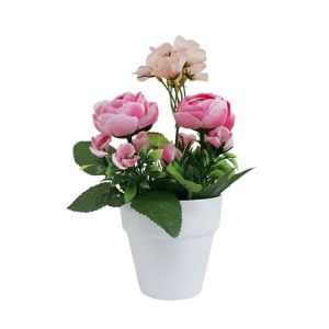 Розова мини цветна аранжировка с рангелус в саксия Fl-9 - високопроизход 25 см