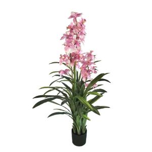 Розова орхидея цимбидия в саксия - в150 см 2/kib