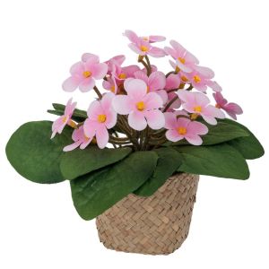 РОЗОВИ ЦВЕТЯ 17 СМ В САКСИЯ С МОРСКА ТРЕВА 9X7