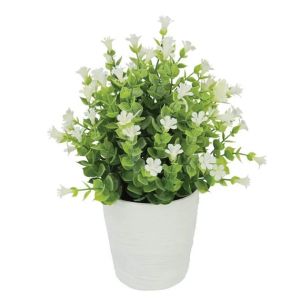 Саксия с растение евкалипт, бяло цветя Φ11x27см 1/36кутия