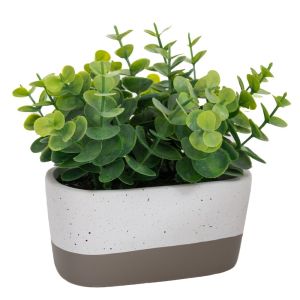 ТРЕВА В КЕРАМИЧНА САКСИЯ 14X7X19 СМ