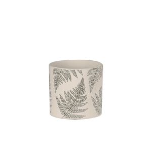 Циментова саксия, кремаво-зелена, кръгли листа от папрат Φ16.5x15см - 1/12 кутия