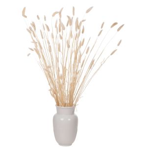 Декоративен сушен букет Rabbit Tail крем 76hcm Hm7959