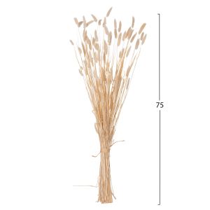 Декоративен сушен букет Rabbit Tail крем 76hcm Hm7959