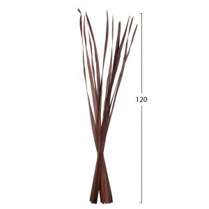 Декоративен сушен букет с листа на меч бял 10бр, кафяв 120hcm Hm7965