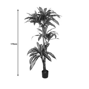 Декоративна палма Dracaena I в кашпа Inart H170cm
