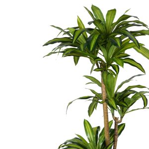 Декоративна палма Dracaena I в кашпа Inart H170cm