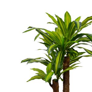 Декоративна палма Dracaena в кашпа Inart H110cm