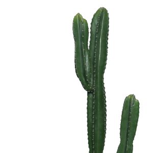 Декоративно дърво Cactus I в кашпа Inart H155cm
