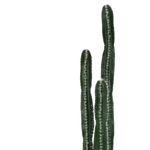 Декоративно дърво Cactus Ii в кашпа Inart H155cm