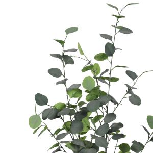 Декоративно дърво Eucalyptus в кашпа Inart H120cm