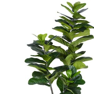 Декоративно дърво Fiddlehead I в кашпа Inart H180cm