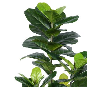Декоративно дърво Fiddlehead в кашпа Inart H120cm