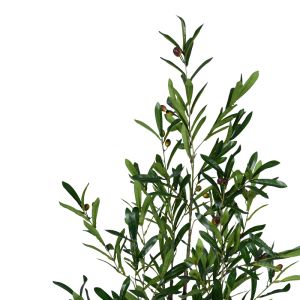 Декоративно дърво Olive Tree в кашпа Inart H120cm