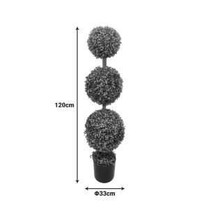 Декоративно растение Bolla I�i в зелена саксия от Pp 33x120 см