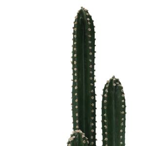 Декоративно растение Cactus Iii в кашпа Inart H85cm