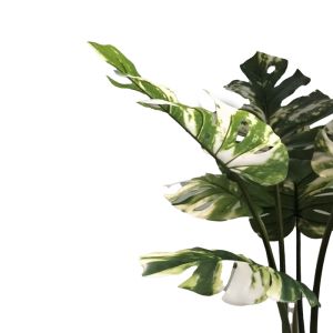 Декоративно растение Monstera I в кашпа Inart H90cm