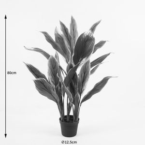 Декоративно растение в саксия Cycas зелено D55x80см
