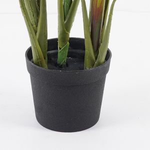 Декоративно растение в саксия Cycas зелено D55x80см