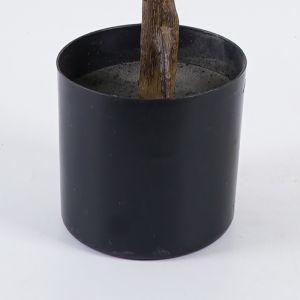 Декоративно растение в саксия Ficus Lyrata зелено D70x130см