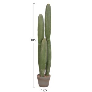 Декоративно растение в саксия Hm4744 кактус Φ17.5x105hcm.