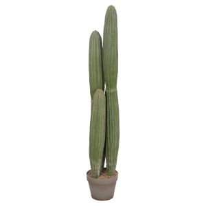Декоративно растение в саксия Hm4744 кактус Φ17.5x105hcm.