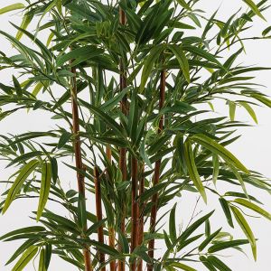 Декоративно растение в саксия Rhapis Palm зелено D60x120см