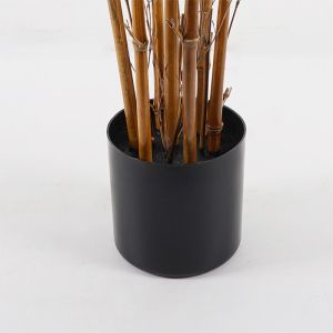 Декоративно растение в саксия Rhapis Palm зелено D60x120см