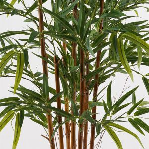 Декоративно растение в саксия Rhapis Palm зелено D80x180см
