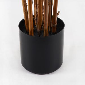 Декоративно растение в саксия Rhapis Palm зелено D80x180см