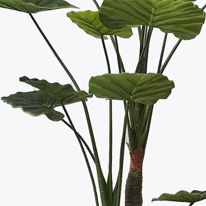 Декоративно растение в саксия Taro Plant зелено D90x180см
