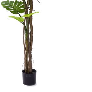 Декоративно саксийно растение Monstera Iii Inart H180cm