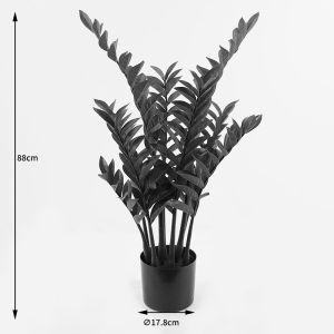 Декоративно саксийно растение Zamia зелено D52x88см