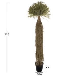 Изкуствено растение в кашпа Hm7974 220hcm