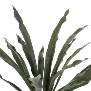 Изкуствено растение в кашпа Hm7975 Asplenium 137hcm