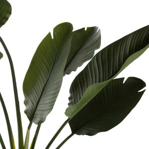 Изкуствено растение в кашпа Hm7982 стрелиция D17x14.5-150hcm