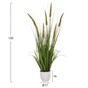 Изкуствено растение в кашпа Hm7999 Ophiuros 130hcm