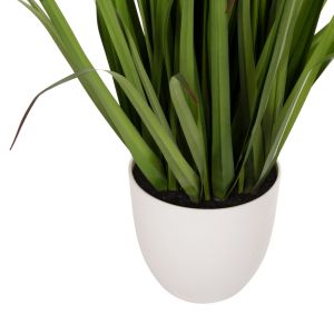 Изкуствено растение в кашпа Hm7999 Ophiuros 130hcm