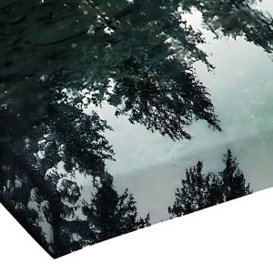 Картина върху платно Siely с дигитален печат 40x3x60см