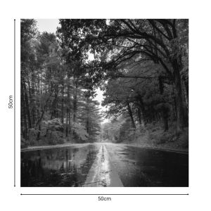 Картина дигитален принт Savgone 50x1,8x50cm