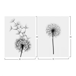 Картина принт от 2 елемента Dandelion Hm7203,02