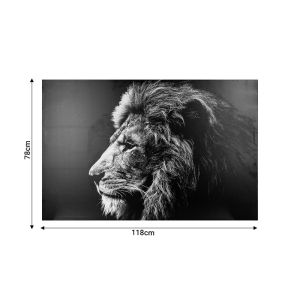 Картина с рамка Lionner Mdf 118x3x78cm