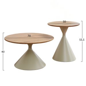 Set of 2 coffee tables Jennel(x) Hm18308.04 metal in champagne color - MDF with paper veneer φ50cm and φ70cm