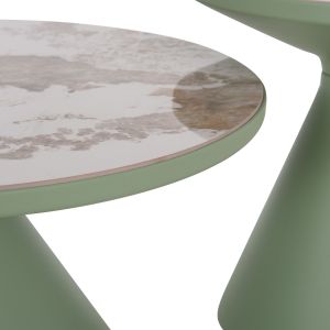 Set of 2 Lynx coffee tables
