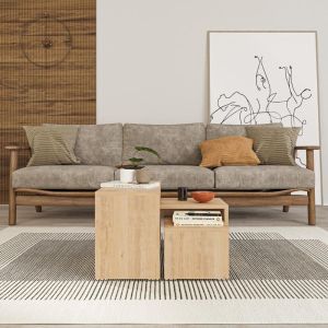 Kantar coffee table set of 3 in natural color 65x30x39cm