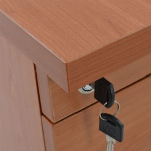 Office professional drawer in cherry 40x52x60cm Hm2049,13
