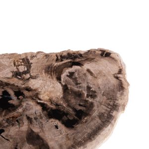 Side table Saman Hm9931 metal black legs-petrified wood top 70x55x40hcm.
